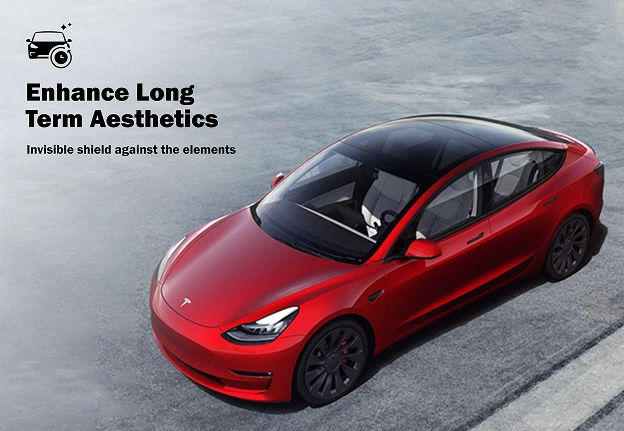 Enhance Long Term Aesthetics with PPF — Woodlands Window Tint