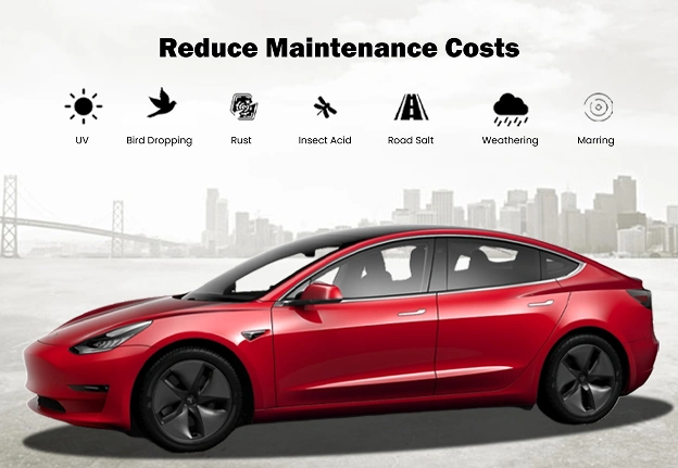 Reduce Maintenance Costs with PPF — Woodlands Window Tint
